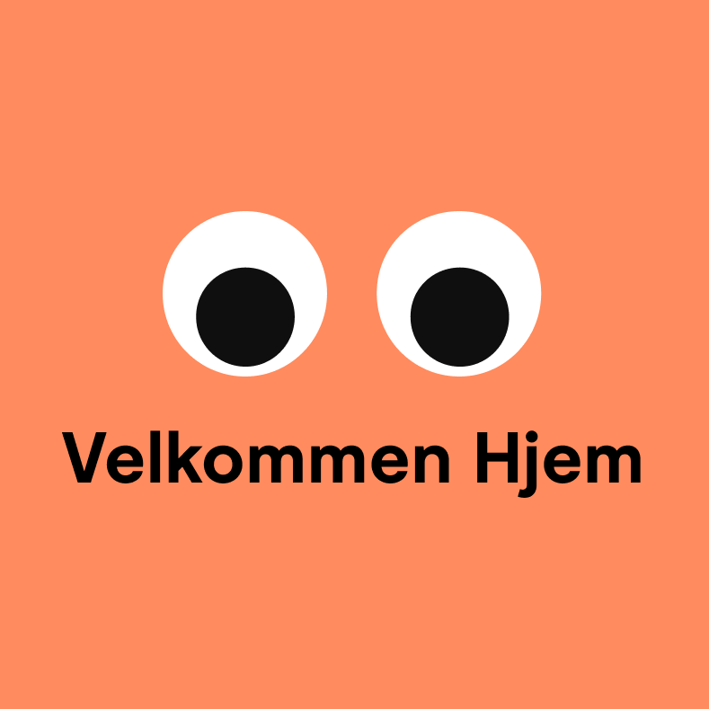 Hjem.no – Fra null til millioner av brukere case